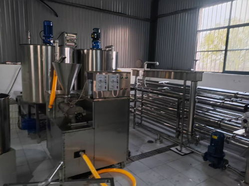 仿生智造領風潮 2025年大荔縣大朝食品廠魔芋加工設備標桿解析